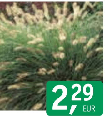 Trava mix - Akcija v trgovini Jager