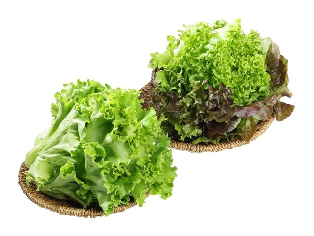 Slovenska sortirana solata