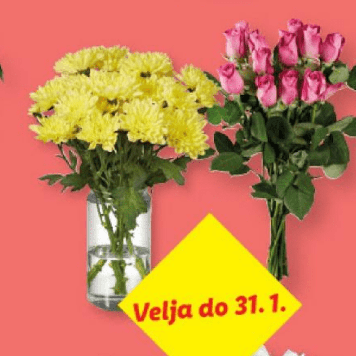 Šopek vrtnic/krizantem - Akcija v trgovini Lidl