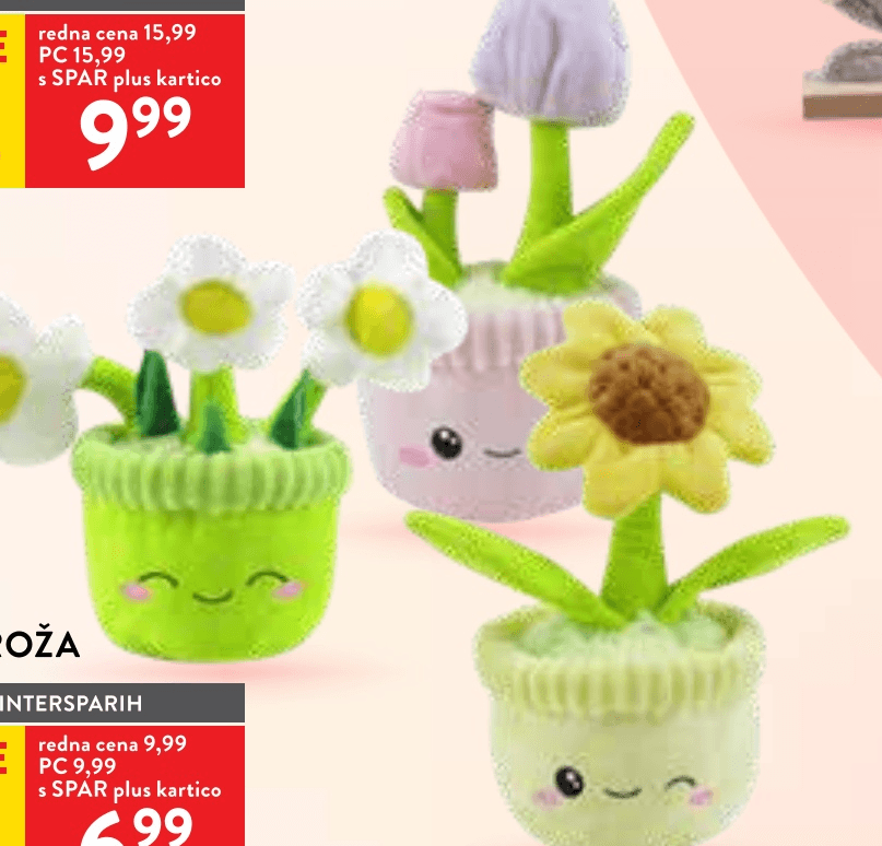 Plišasta roža - Akcija v trgovini Spar
