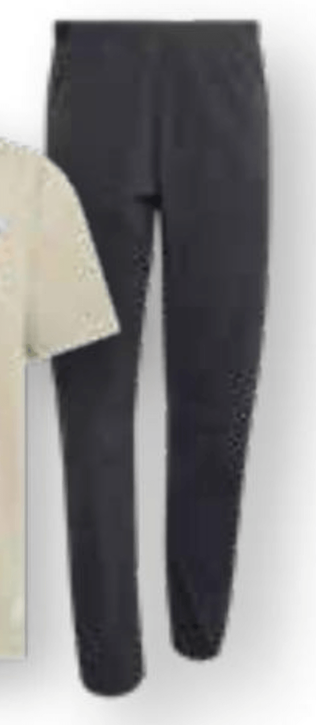 Terrex Moške pohodne hlače - Akcija v trgovini Hervis