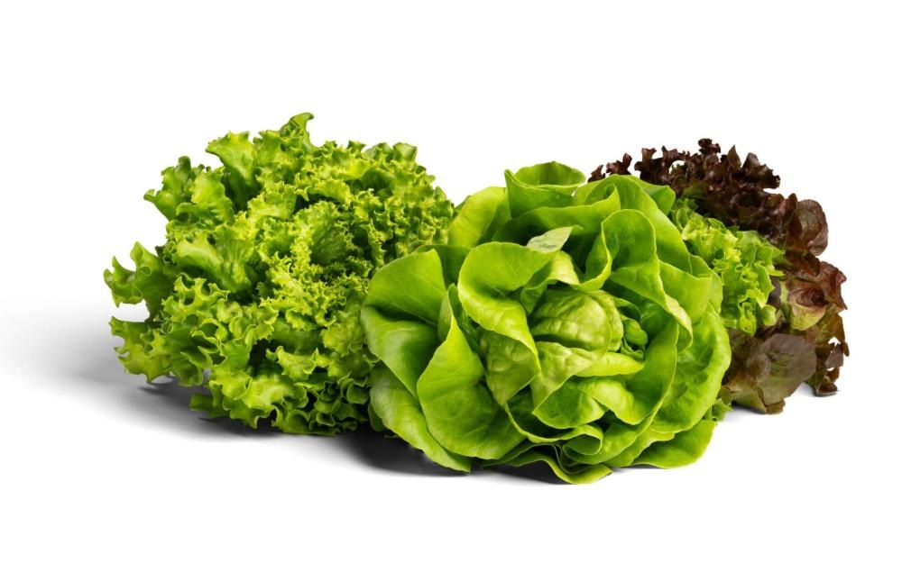 Slovenske solate Frišno 1 kos - Akcija v trgovini Spar