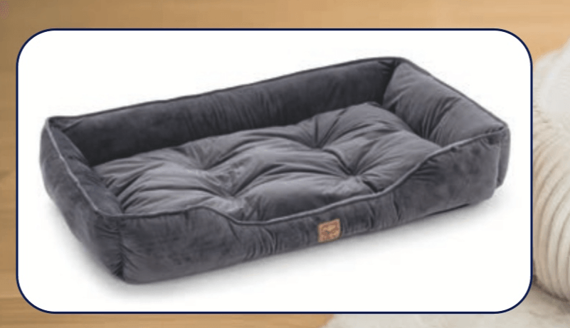 Romeo Pasje ležišče XXL - Akcija v trgovini Hofer