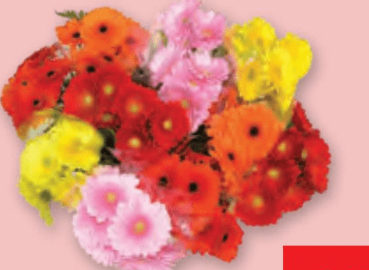 Šopek Gerber - Akcija v trgovini Spar