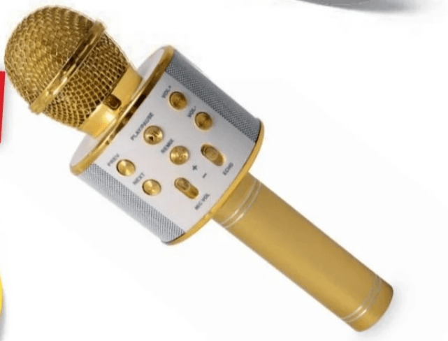 Bauhn Mikrofon za karaoke - Akcija v trgovini Hofer