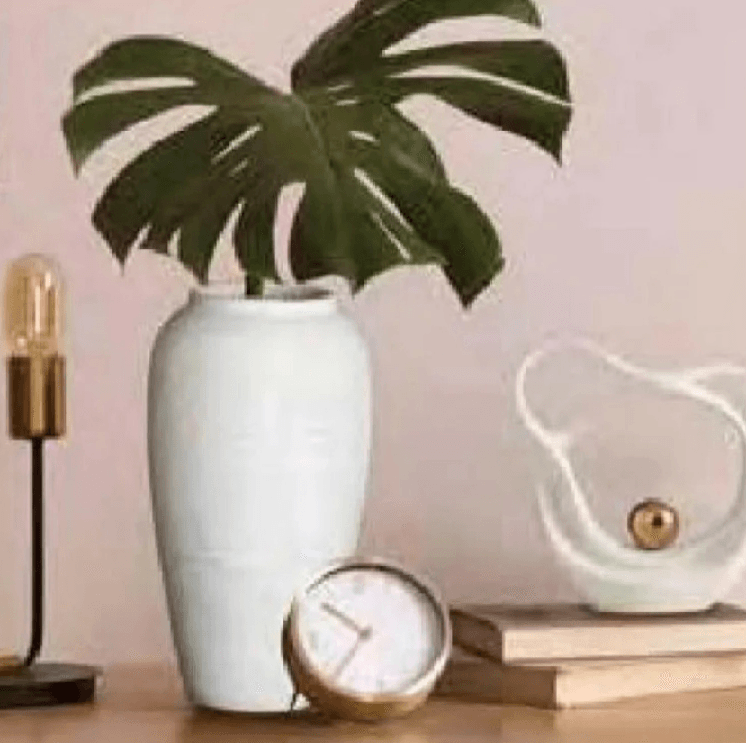 Vivi Dekoracija - Akcija v trgovini Tuš