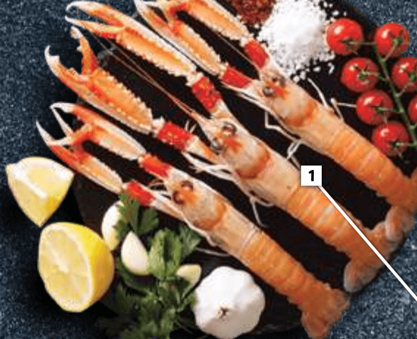 Škampi-mali - Akcija v trgovini E.Leclerc