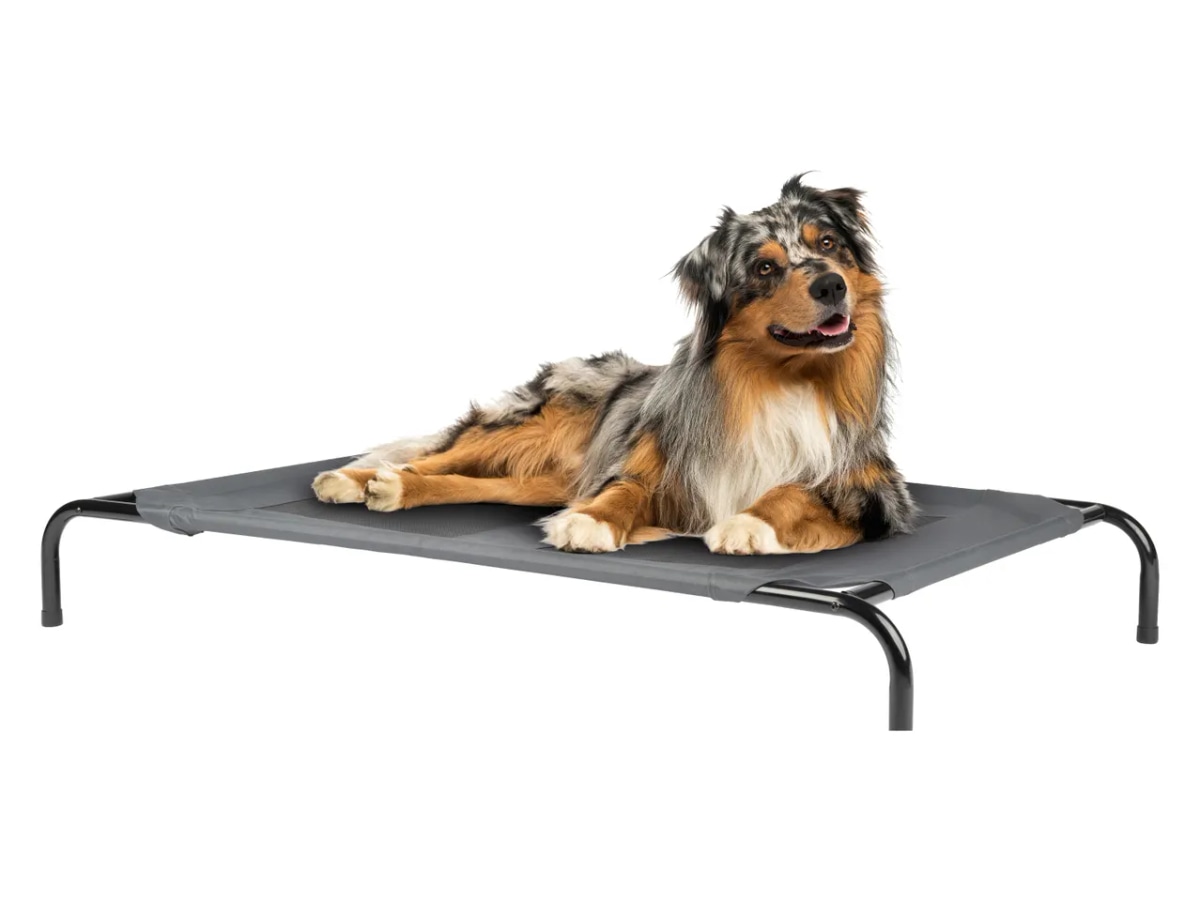 ZOOFARI Postelja za domače živali - Akcija v trgovini Lidl