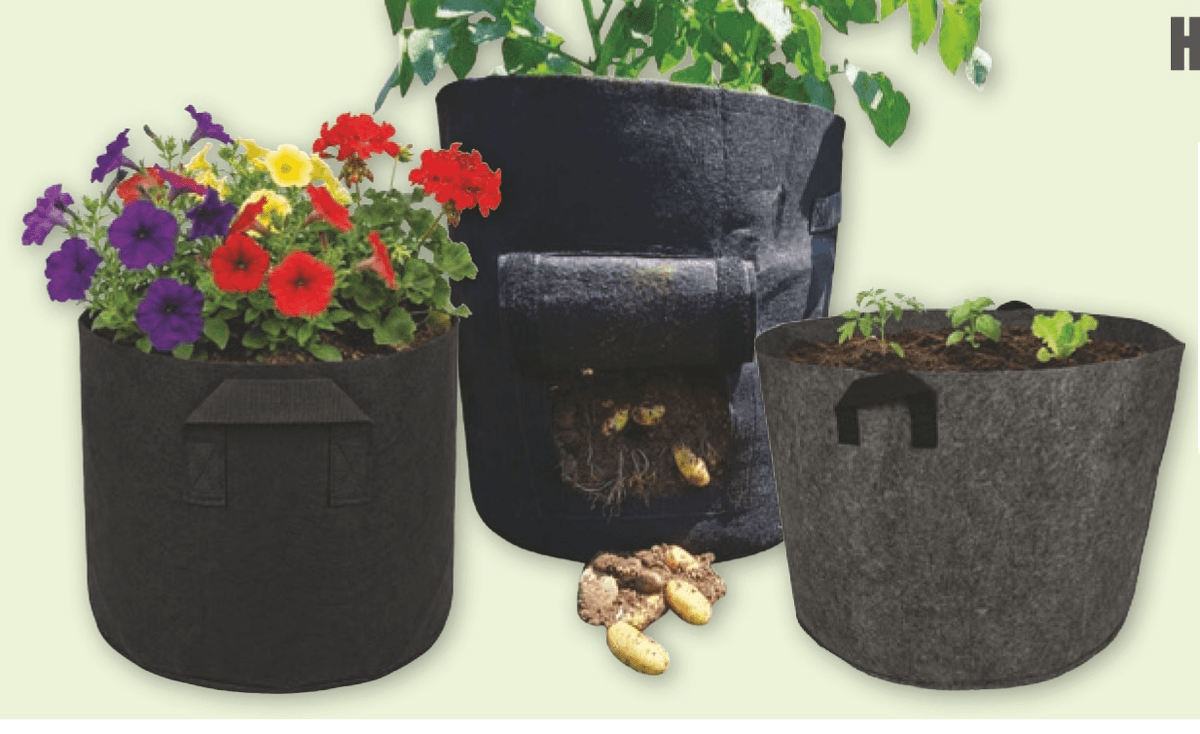 Sadilne vreče HomeGarden - Akcija v trgovini Spar