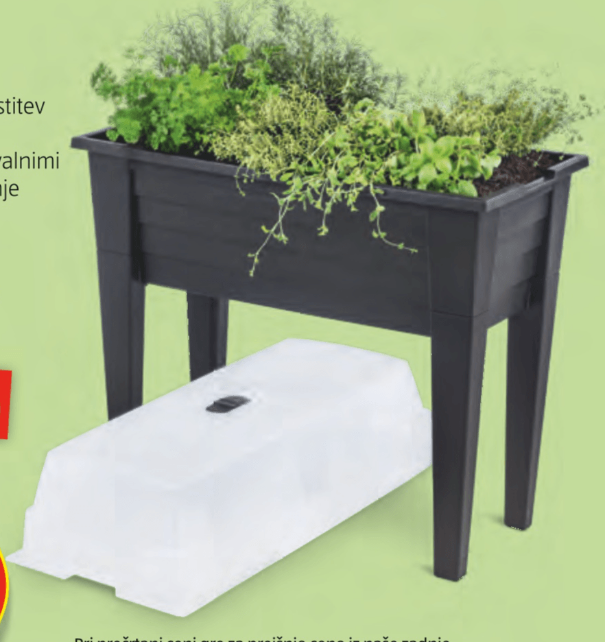 Visoka greda s pokrovom BELAVI - Akcija v trgovini Hofer