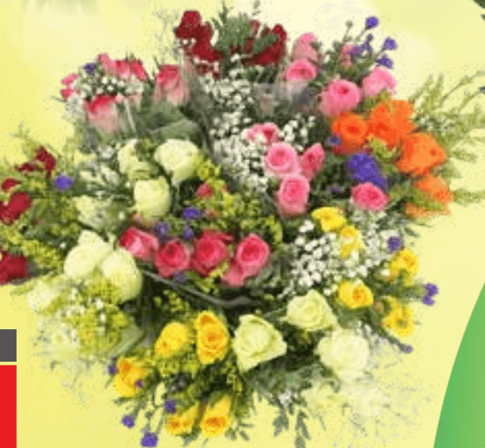 Šopek vrtnic - Akcija v trgovini Spar