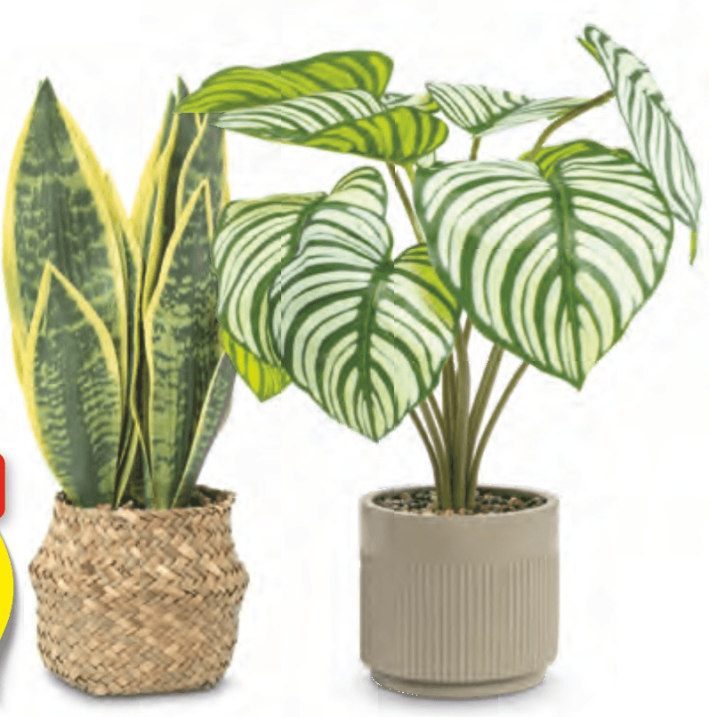 Home Creation Umetna lončnica - Akcija v trgovini Hofer