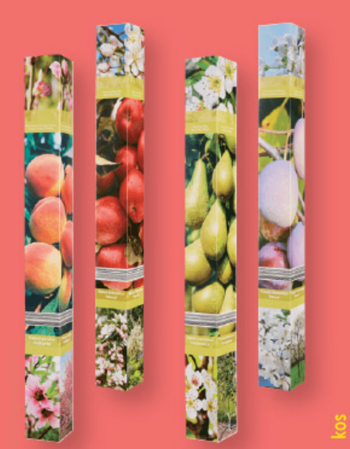 Sadno drevje - Akcija v trgovini Lidl