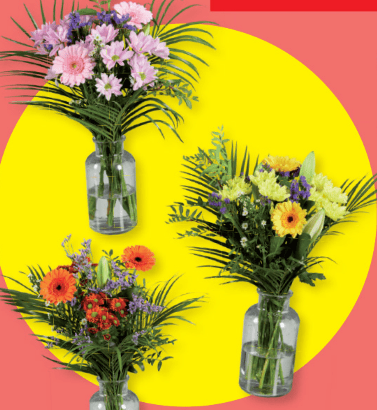 Cvetlični šopek - Akcija v trgovini Lidl