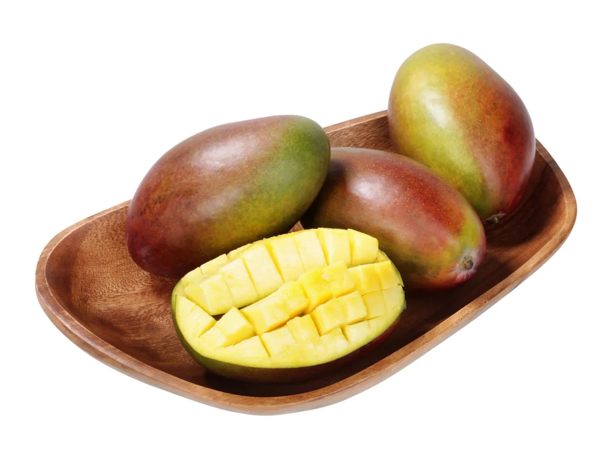 Mango - Akcija v trgovini Lidl