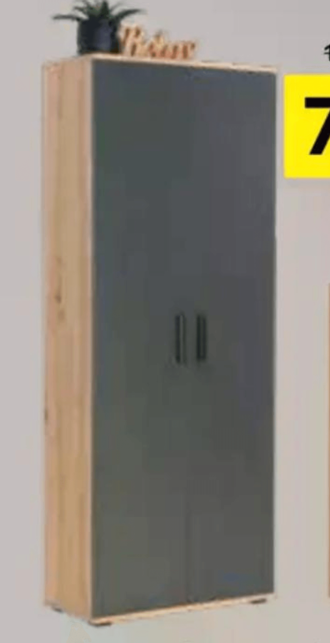 Večnamenska omara xora - Akcija v trgovini Lesnina