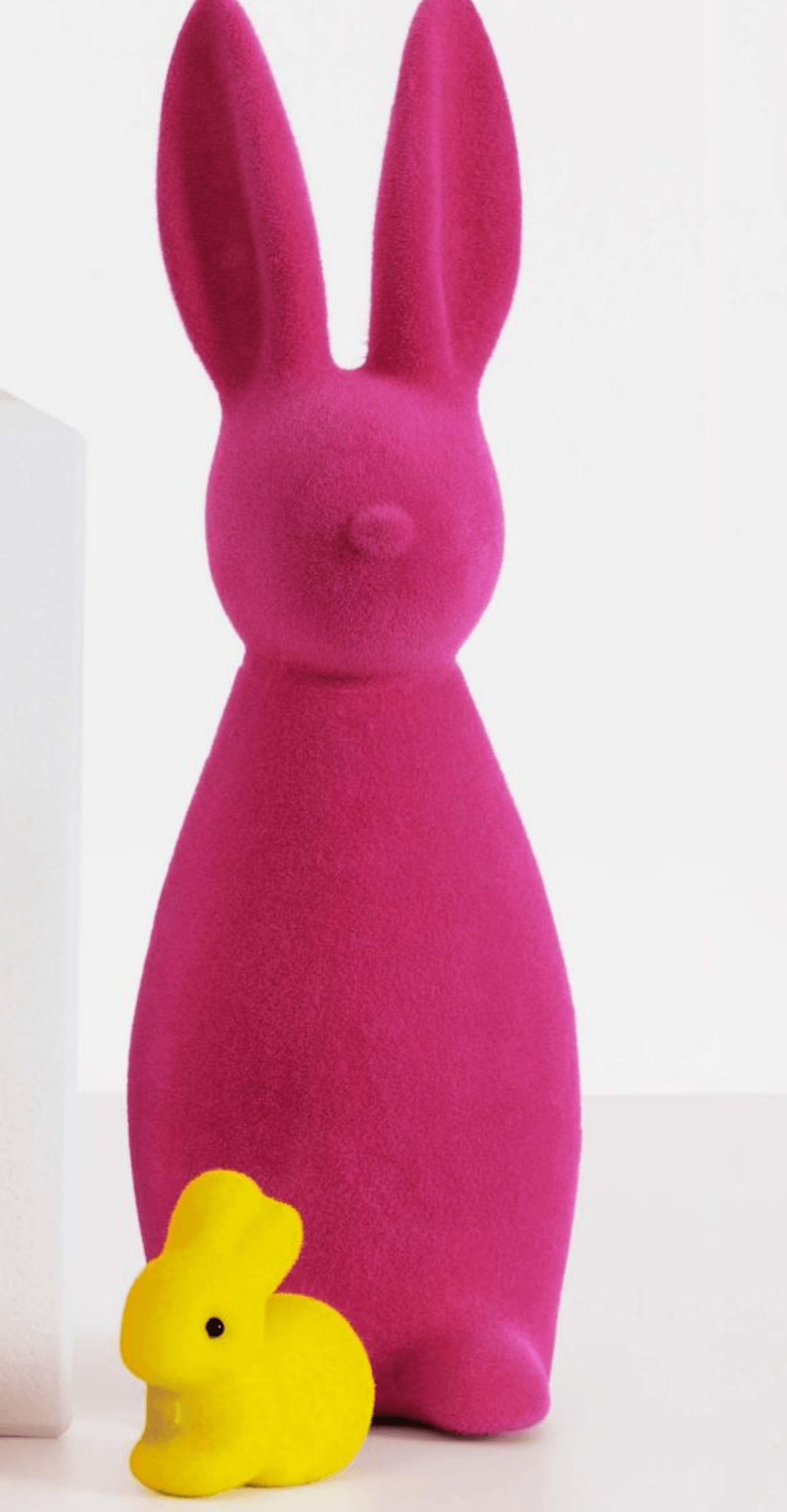 Okrasni zajec - Akcija v trgovini Kik