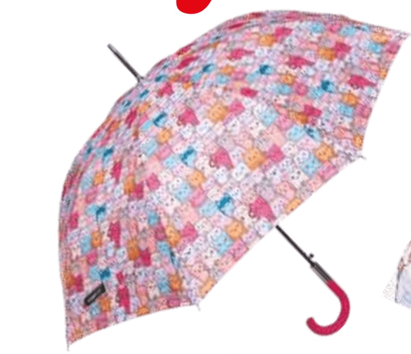 Ženski dežnik - Akcija v trgovini E.Leclerc