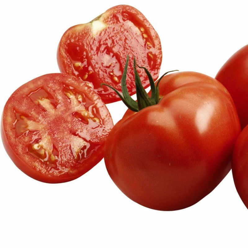 Sadike paradižnik cepljeni 1/1 - Akcija v trgovini Jager