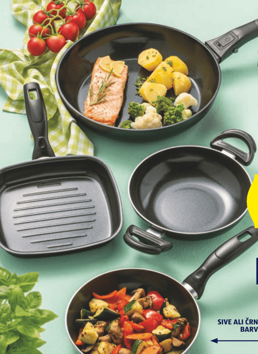 Crofton Mini ponev - Akcija v trgovini Hofer