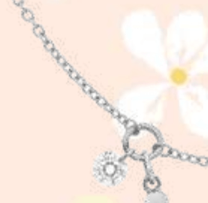 Zapestnica s cirkonijevim oksidom - Akcija v trgovini E.Leclerc