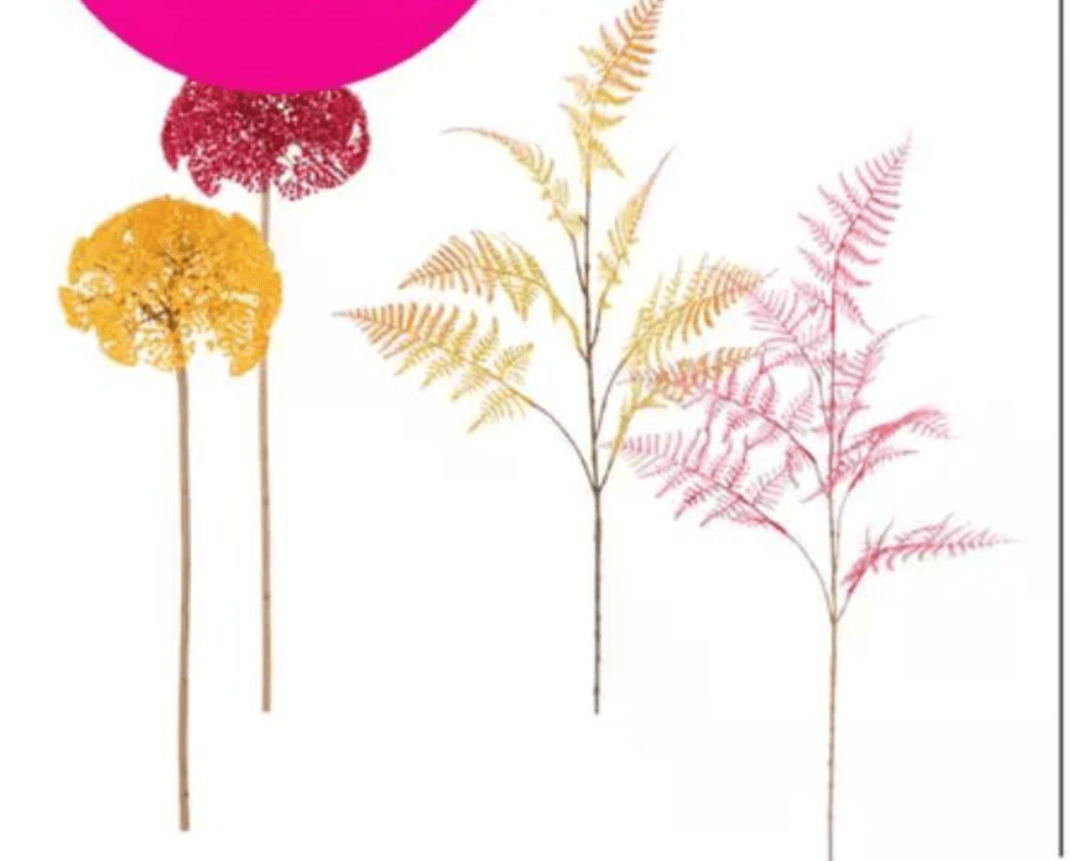 Vejica "PLUMOSUS" - Akcija v trgovini Mömax