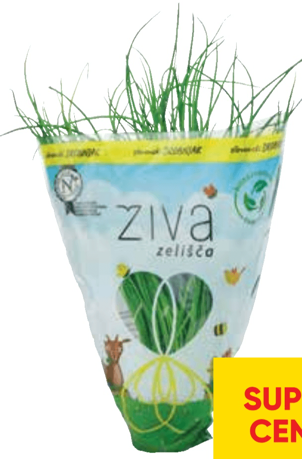 Živa zelišča Panorganix - Akcija v trgovini Tuš