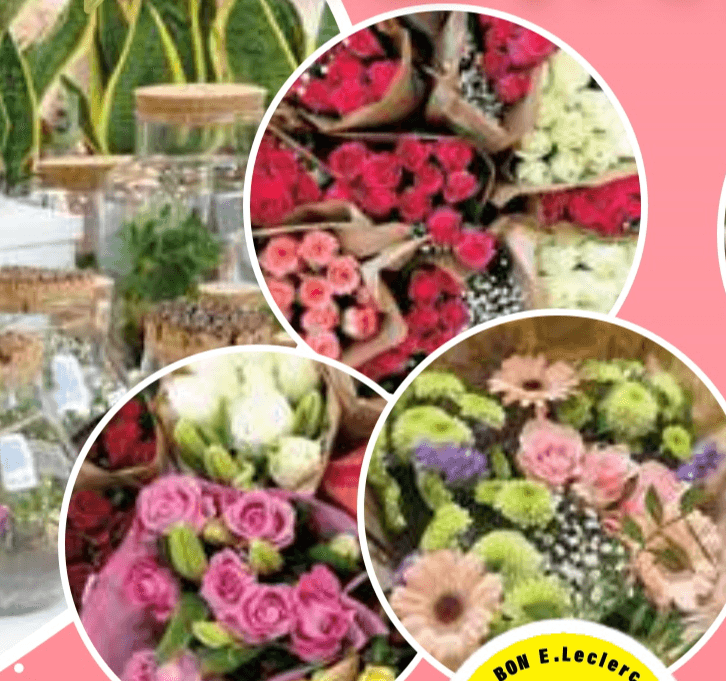 Vsi sveži šopki - Akcija v trgovini E.Leclerc