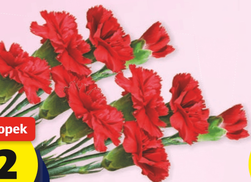 Nageljni 10 kosov - Akcija v trgovini Hofer