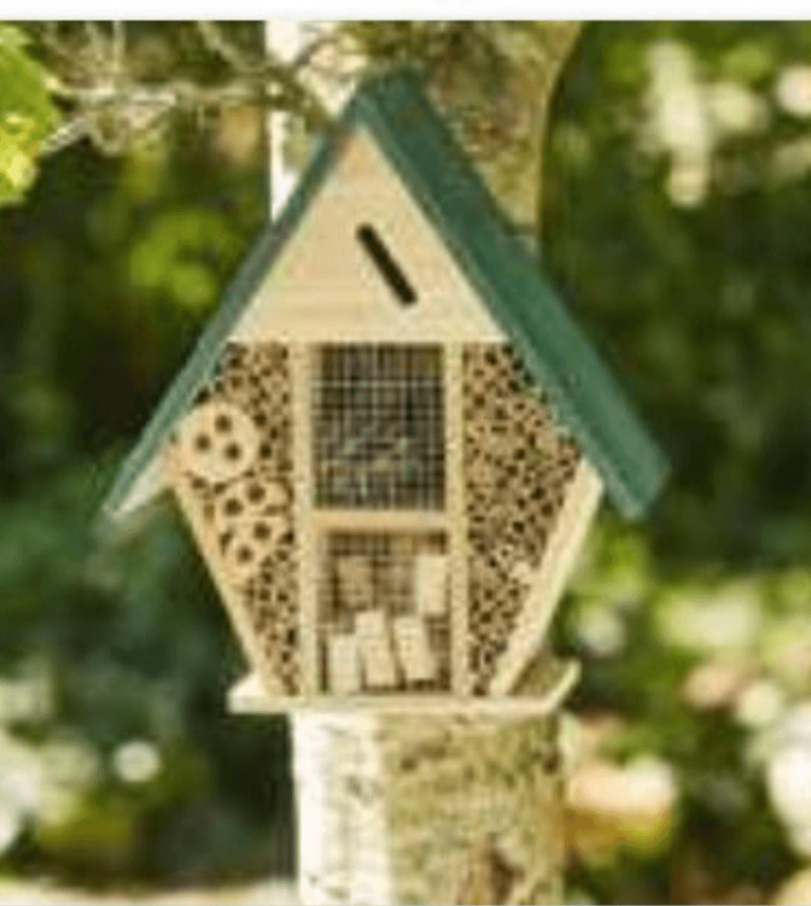 Hotel za žuželke - Akcija v trgovini E.Leclerc