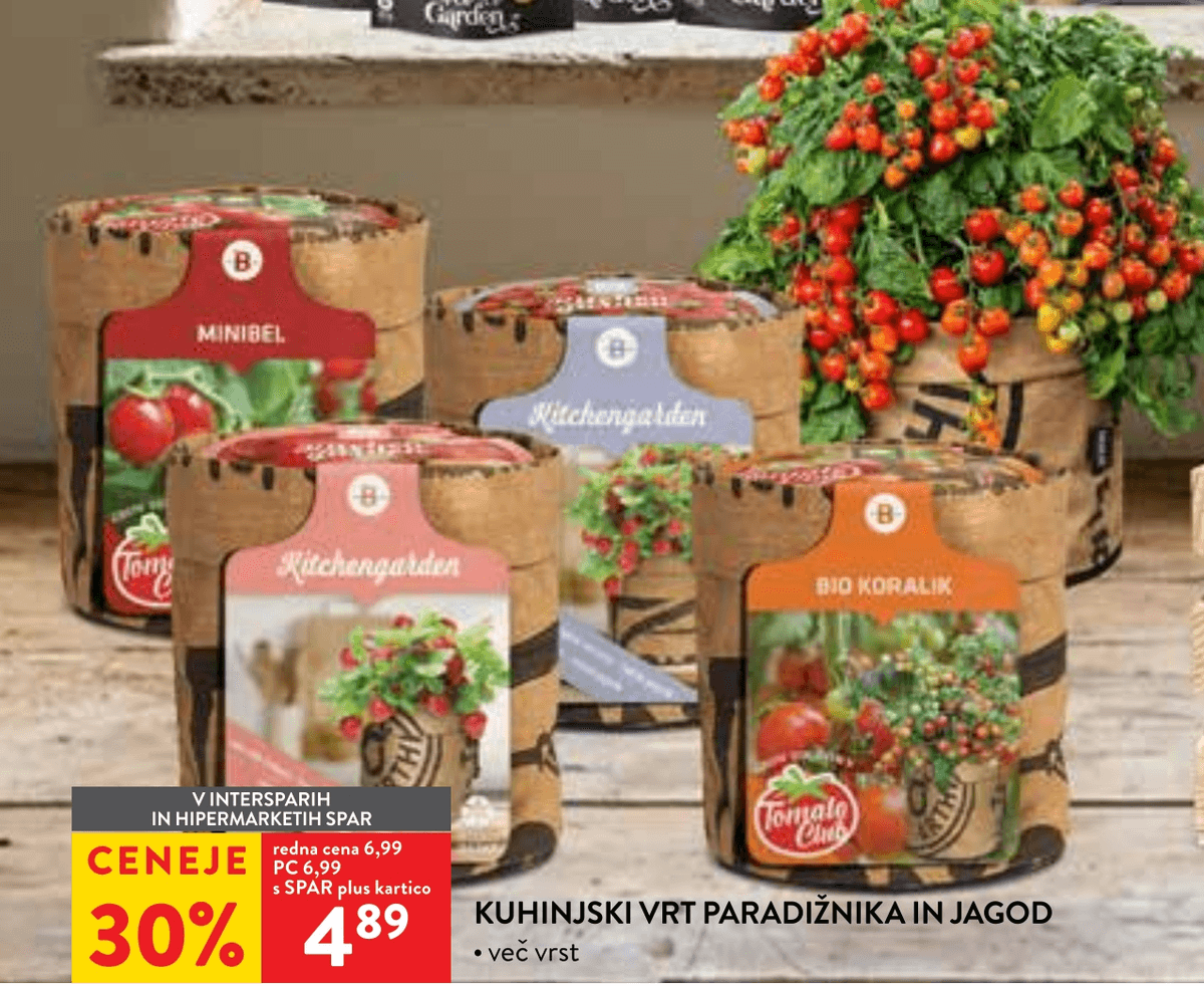 Kuhinjski vrt paradižnika in jagod - Akcija v trgovini Spar