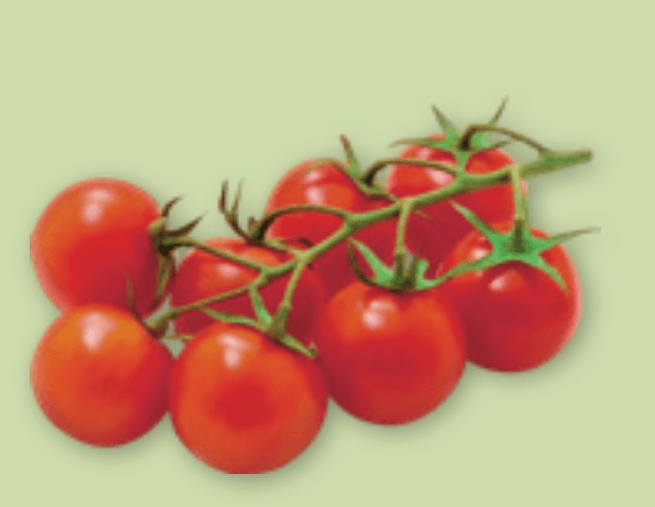 Paradižnik koktel pakirano, 500g - Akcija v trgovini Spar