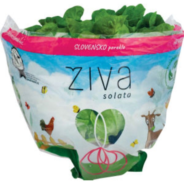 Solata Kristalka Živa kos - Akcija v trgovini Tuš