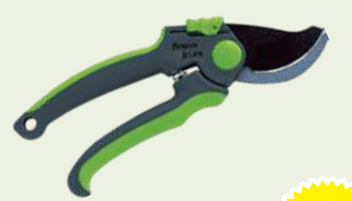 Beaux jours Vrtne škarje - Akcija v trgovini E.Leclerc