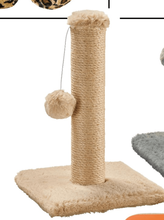 Praskalno drevo - Akcija v trgovini Tedi