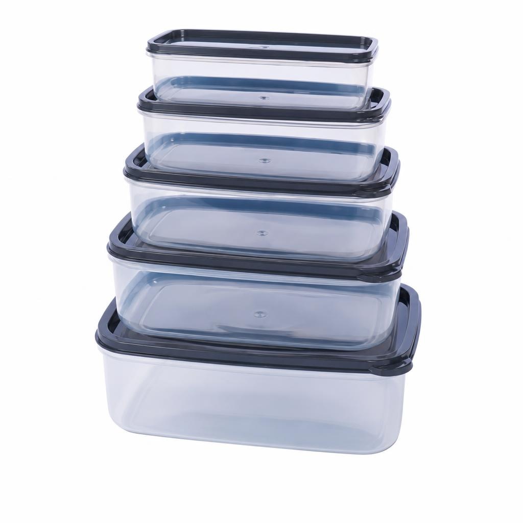 Komplet 5 plastičnih posod za shranjevanje Sistema casa 5 kom (330 ml, 530 ml, 850 ml, 1,3 l, 2,1 l) Akcija v trgovini Eurospin