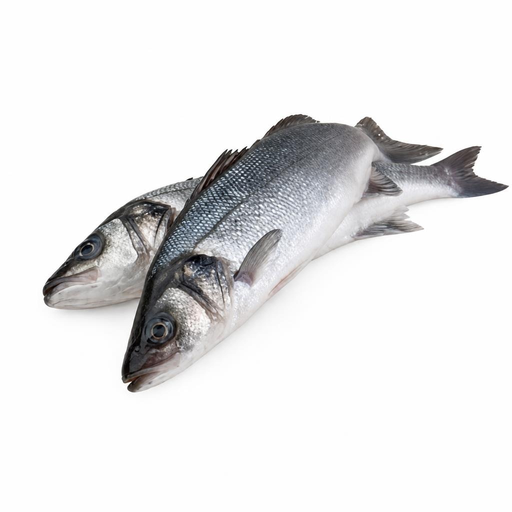 Kornatski brancin 600-800 g, cena za kg Akcija v trgovini Mercator