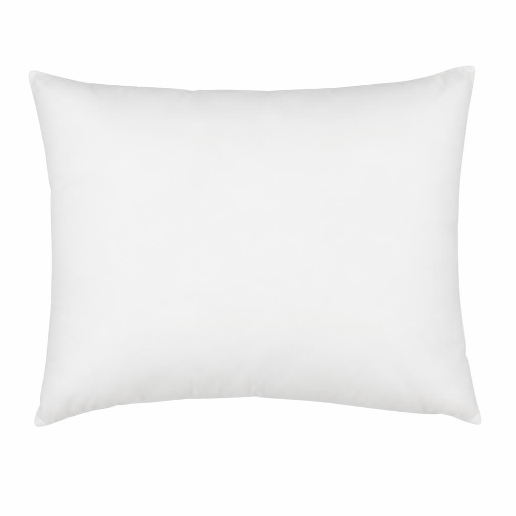 Vzglavnik Hamar 50x70x13 cm Akcija v trgovini Jysk