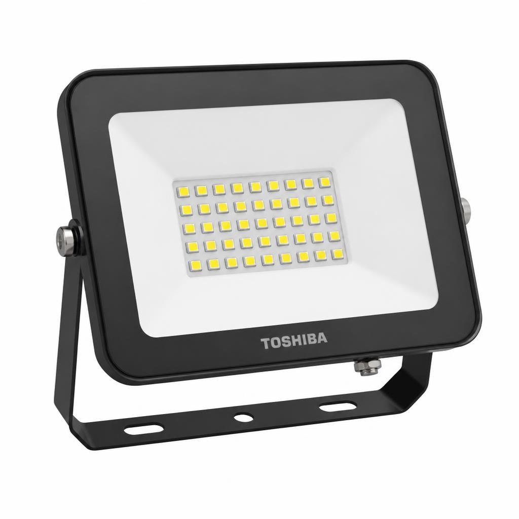 LED reflektor Braytron 3CCT 50 W Akcija v trgovini Jager