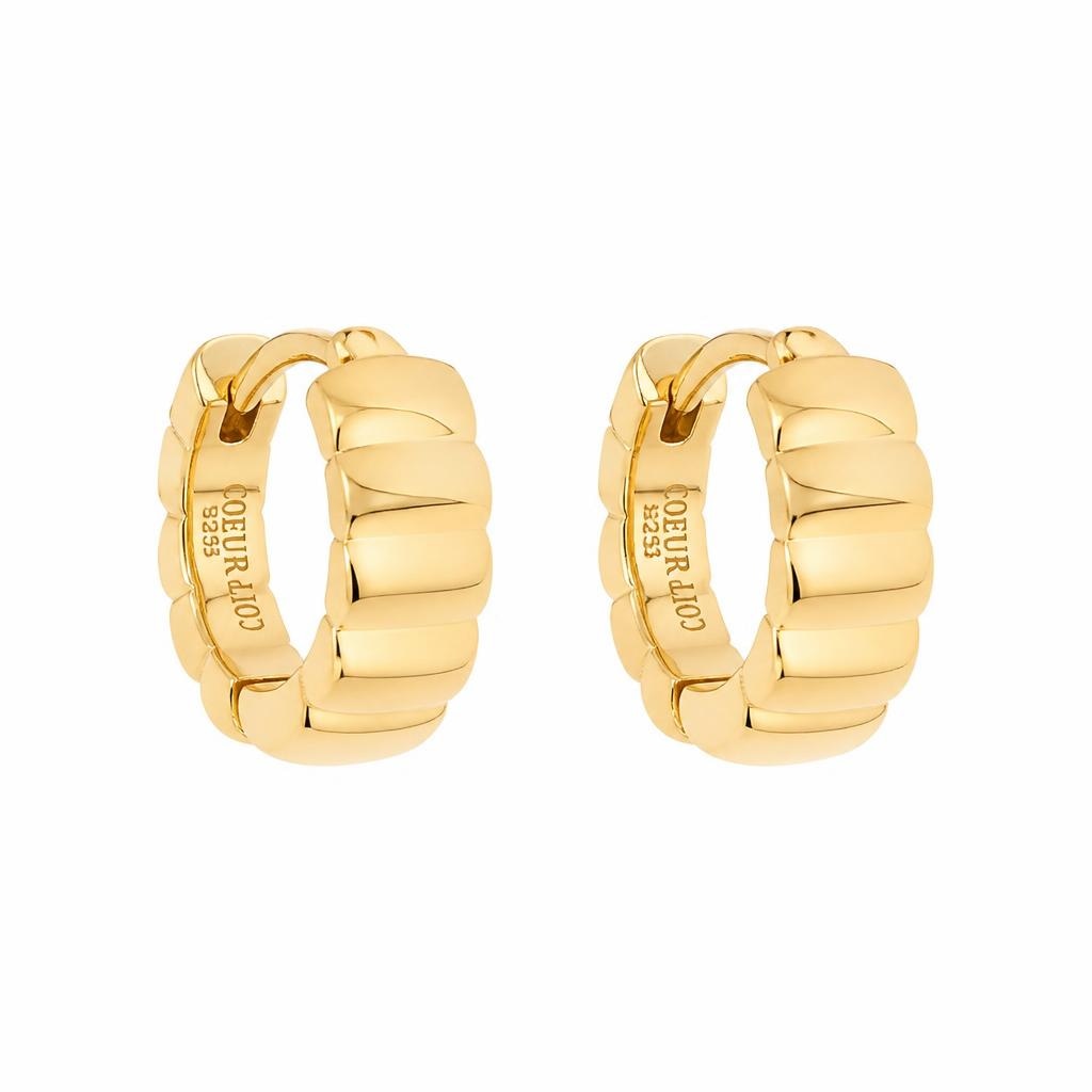 Coeur de Lion ženski uhani 0155/23-1600 Akcija v trgovini Kompas Shop