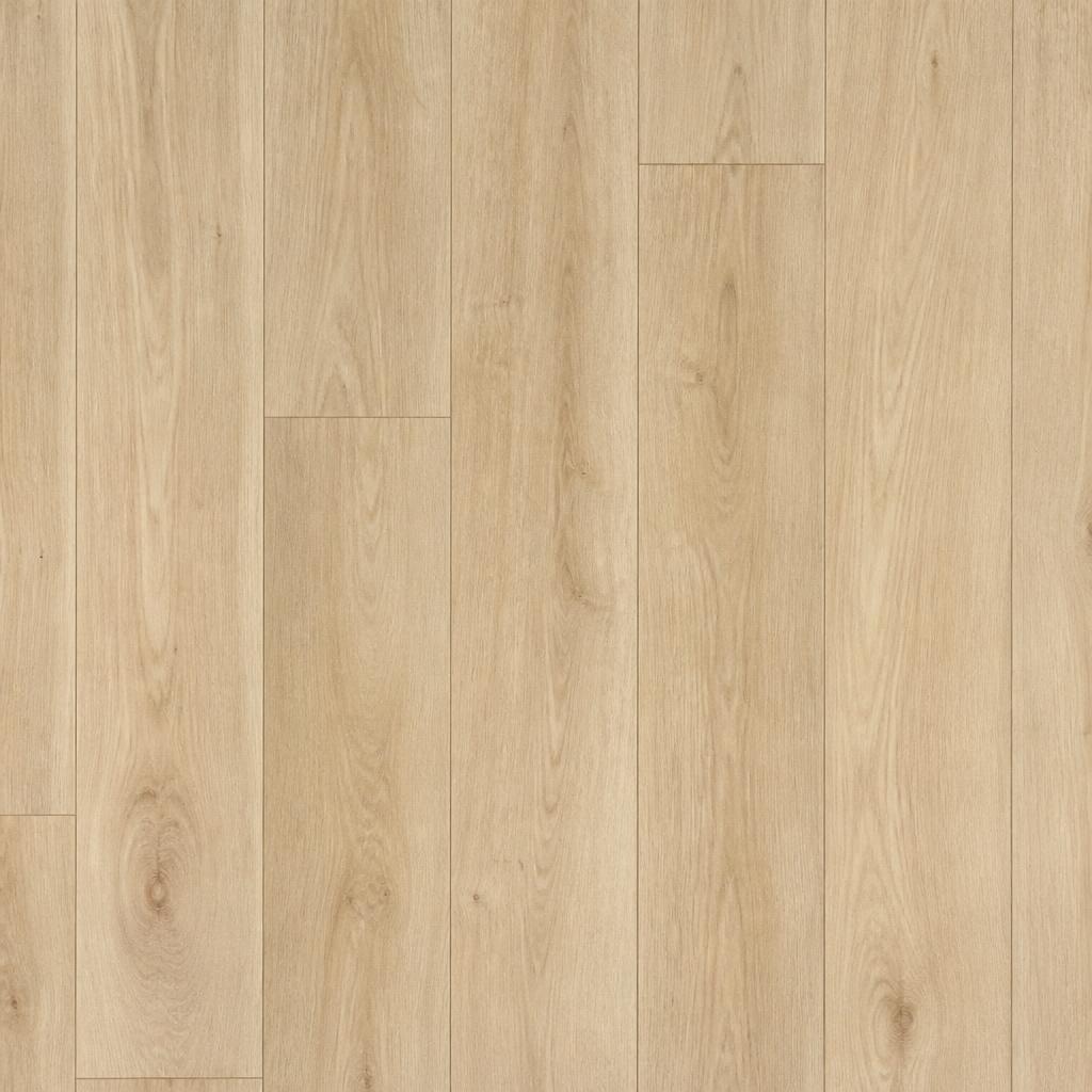 Laminat 'Sunset', 'Moonlight', 'Soft' ali 'Beach' d 1.288 x š 195 x deb. 8 mm, v paketu 2,26 m² Akcija v trgovini Bauhaus