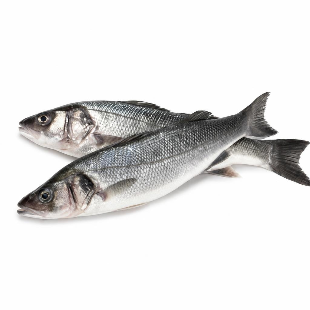 Kornatski brancin 300-400 g RIBARNICA Akcija v trgovini Mercator