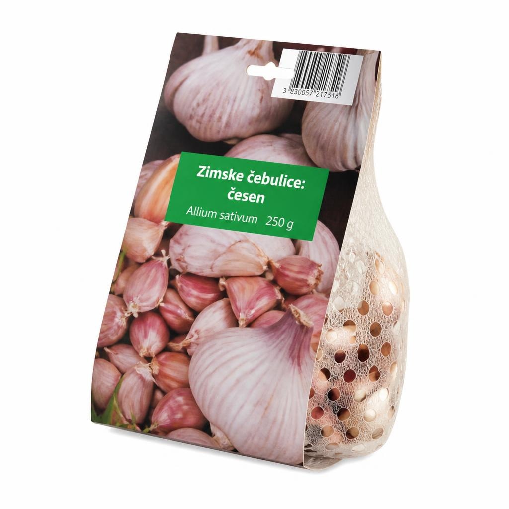 Zimska čebulica/česen Akcija v trgovini Hofer