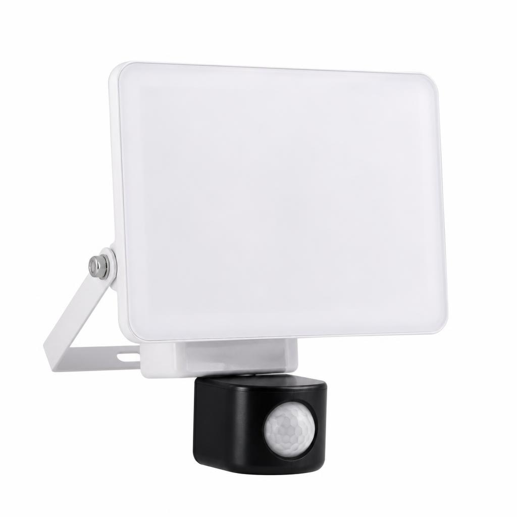 LED reflektor Braytron 3CCT 10 W Akcija v trgovini Jager
