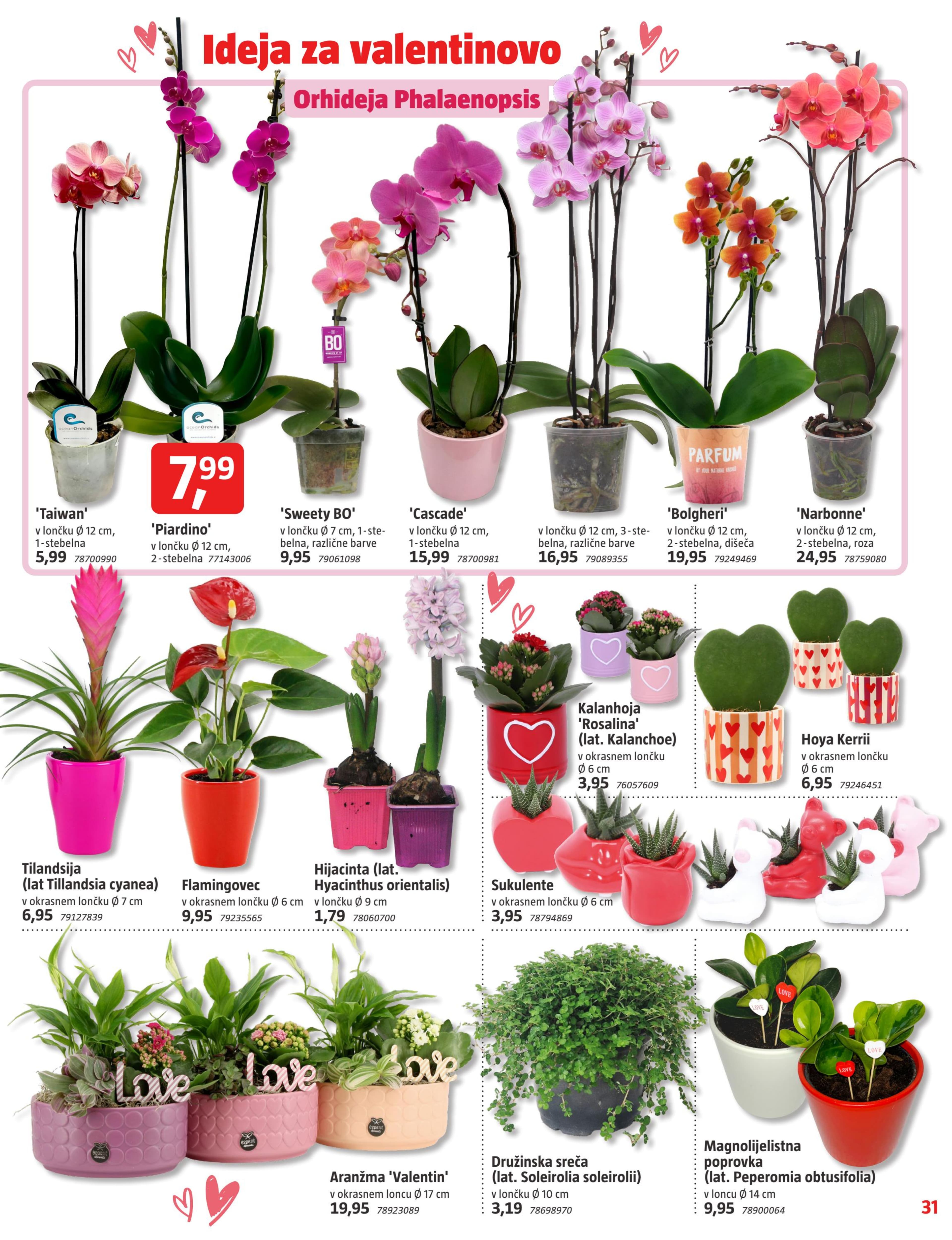 Stran 31. Bauhaus kataloga - Februar 2026