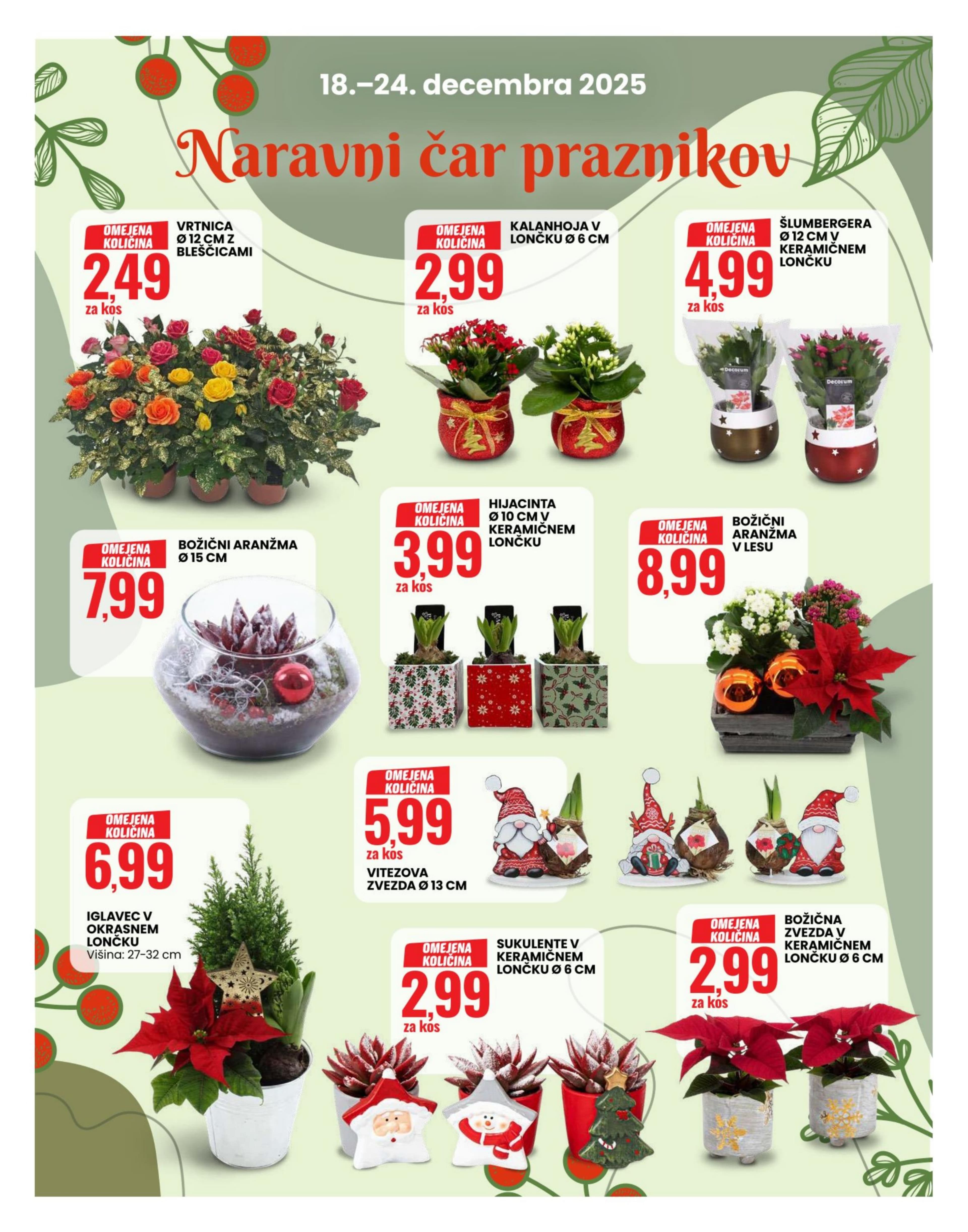 Stran 7. Eurospin kataloga - Akcije od 18.12. do 24.12.2025.