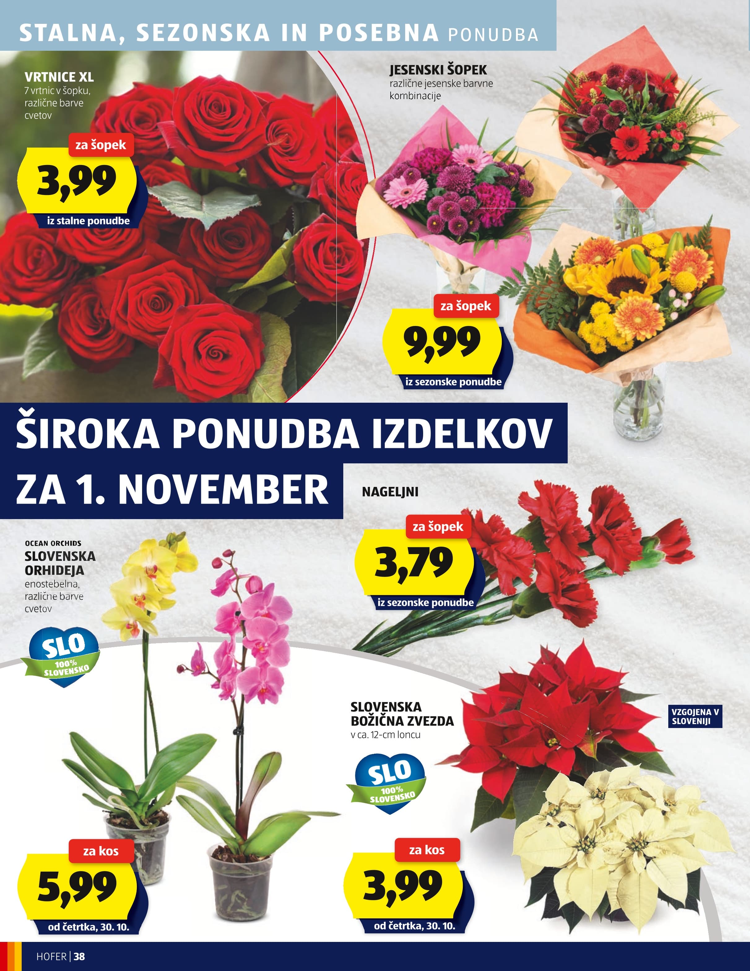 Stran 38. Hofer kataloga - Akcije od 23.10. do 31.10.2025.