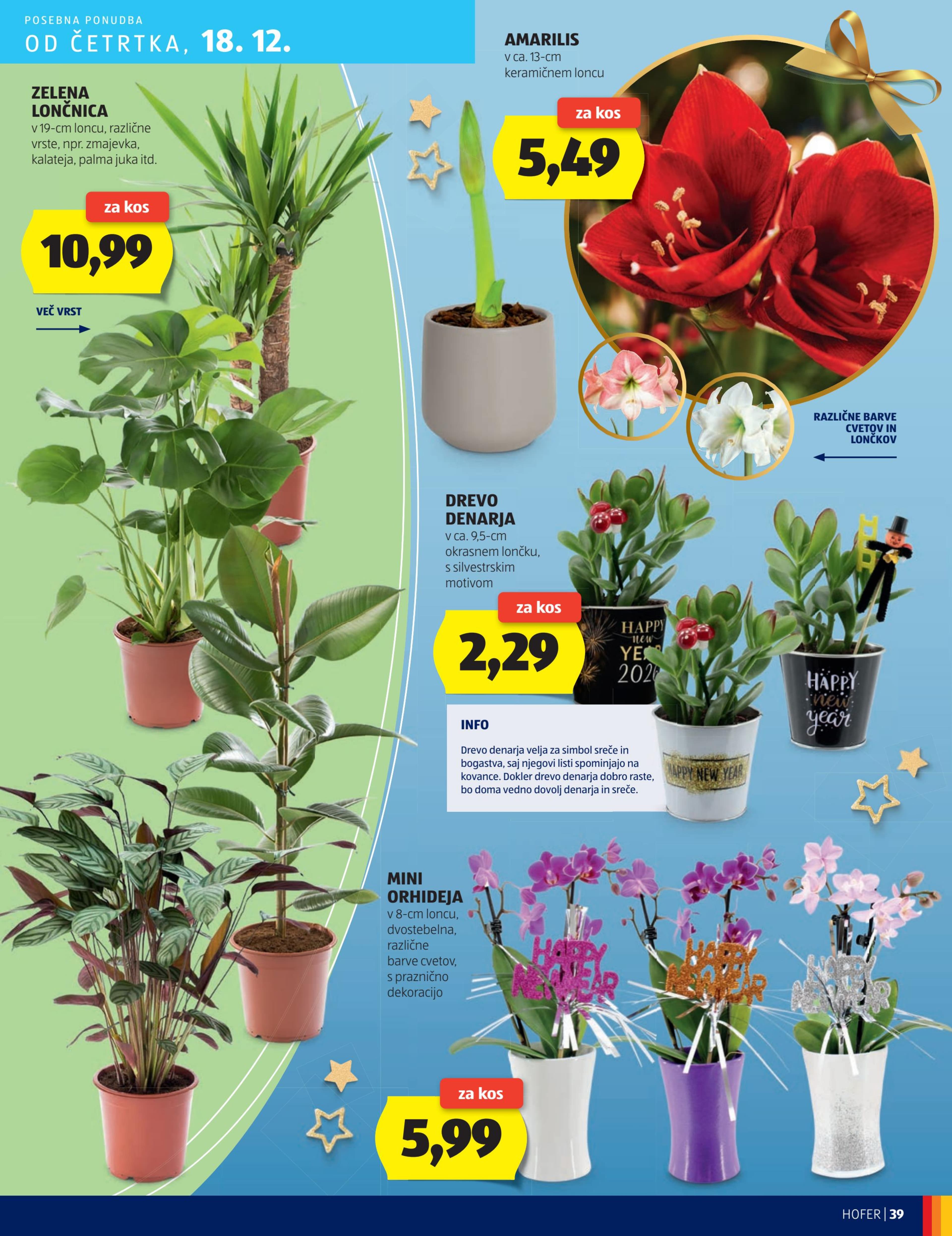 Stran 39. Hofer kataloga - Akcije od 11.12. do 20.12.2025.