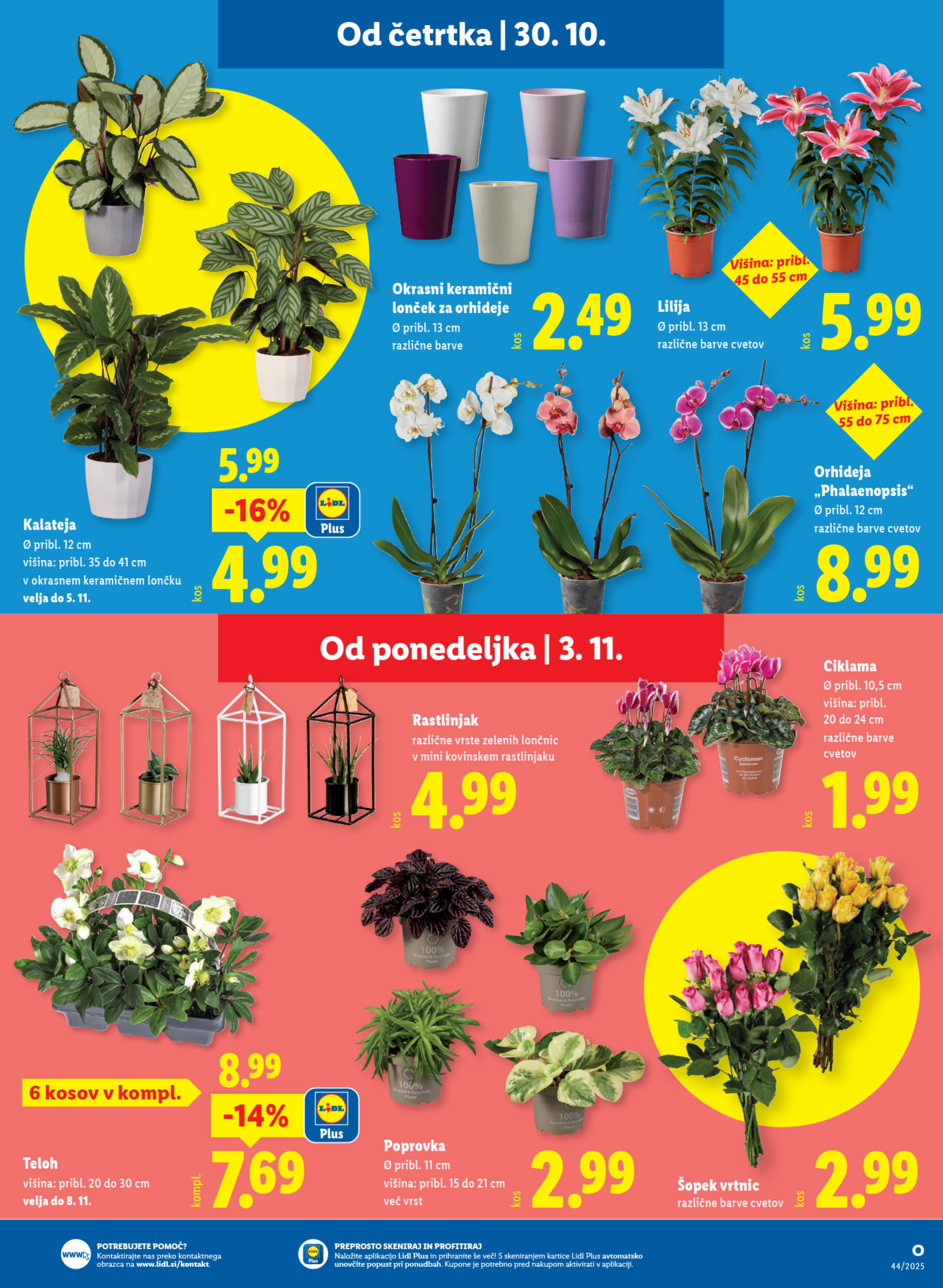 Stran 11. Lidl kataloga - Akcije od 29.10. do 05.11.2025.