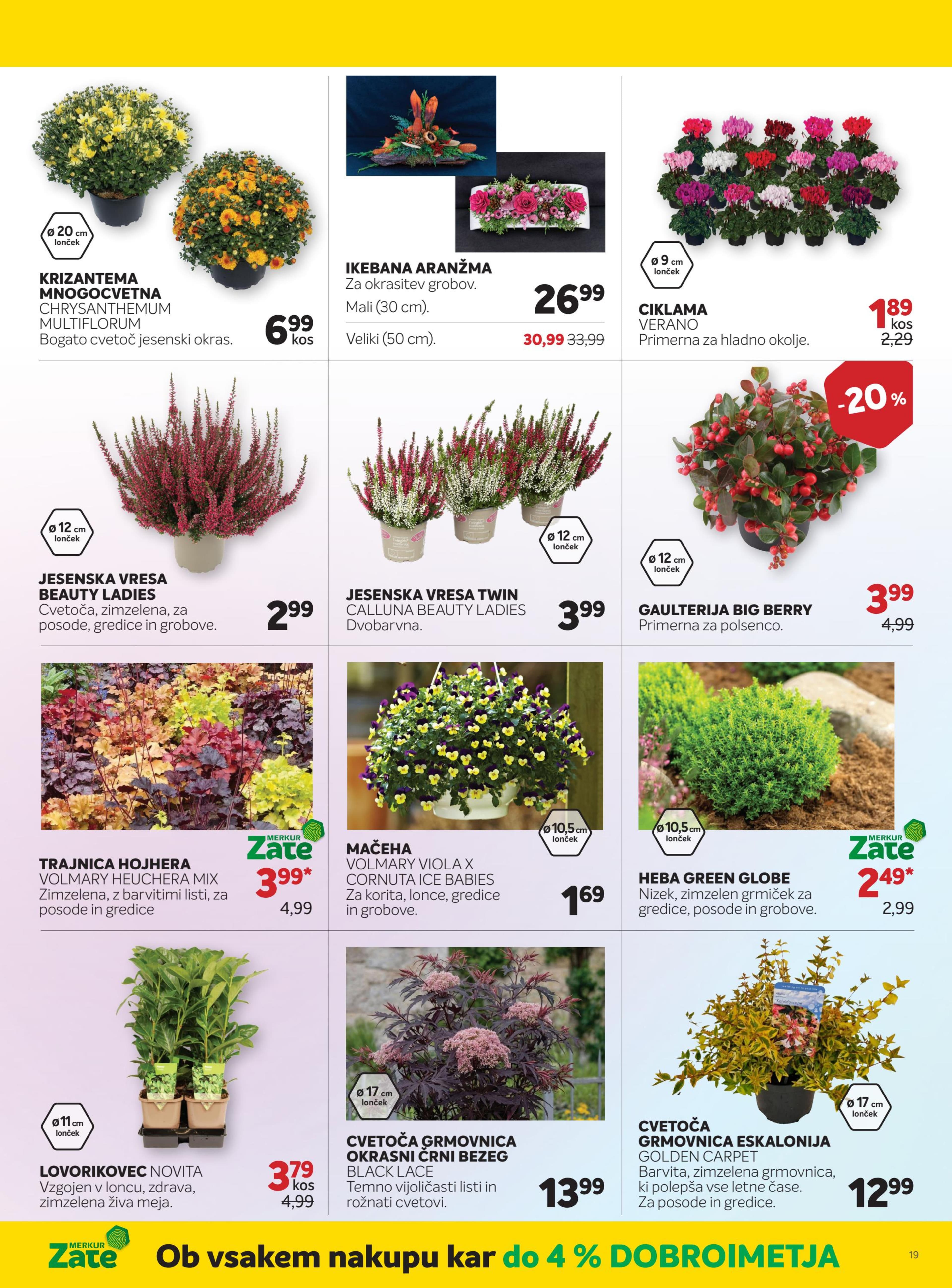 Stran 19. Merkur kataloga - Akcije od 01.10. do 04.11.2025.